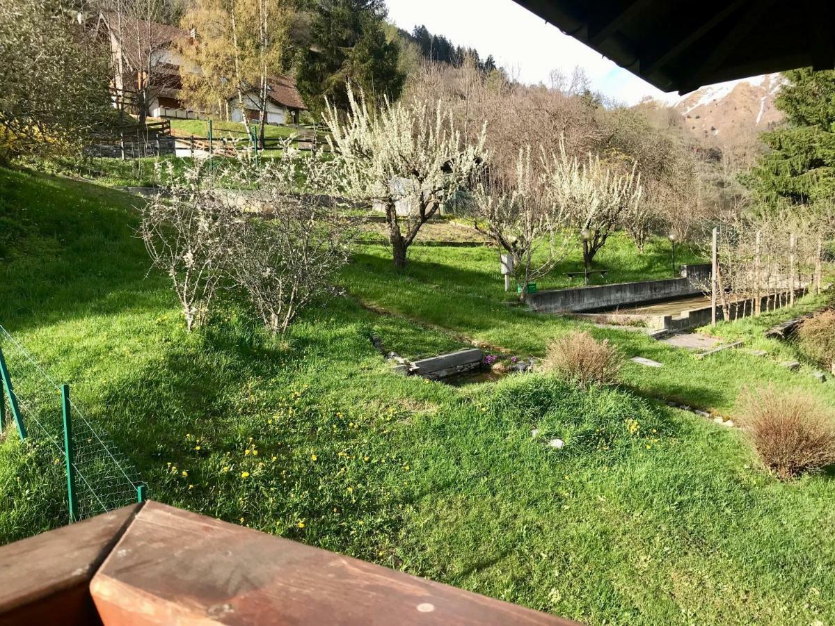 Hotel Garni Sorriso Ponte Di Legno Eksteriør billede